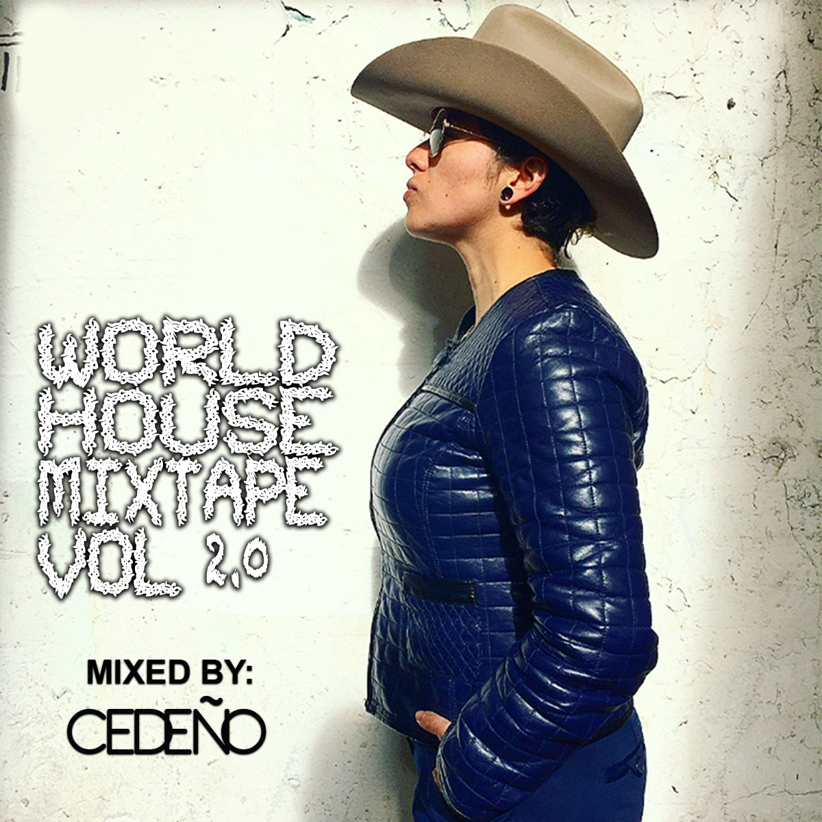 WORLD HOUSE MIXTAPE VOL 2.0